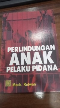 Image of Perlindungan Anak Pelaku Pidana